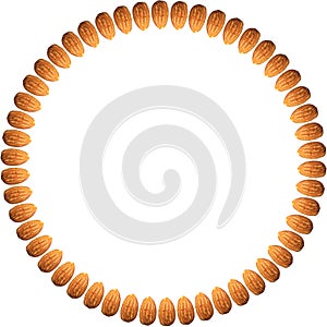 Fifty Almonds arranged along periphery in circle isolated against white background