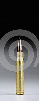 Fifty Caliber Bullet.
