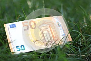 Fifty euros in the grass. Money in the grass close up