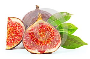 Fig