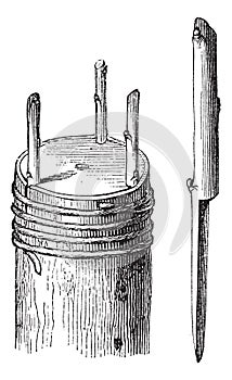 Fig.4 Crown graft or Rind graft vintage engraving