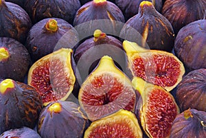 Fig photo