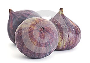 Fig fruit