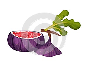 Fig Fruit with Cut Top Piece Showing Bright Flesh with Small Seeds Inside Vector Illustration