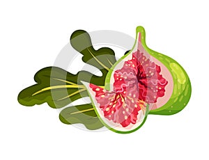 Fig Fruit with Cutout Section Showing Bright Flesh with Small Seeds Inside Vector Illustration