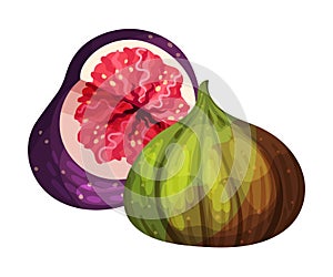 Fig Fruit with Cutout Section Showing Bright Flesh with Small Seeds Inside Vector Illustration