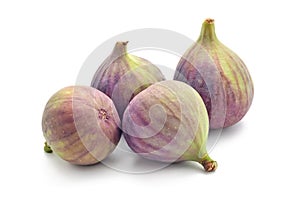 Fig fruit