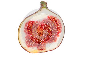 Fig Fruit one half