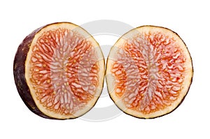 Fig Fruit Secion
