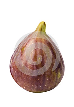 Fig Fruit on White