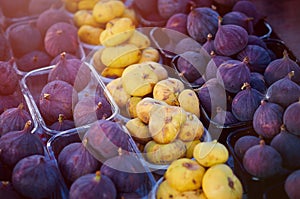 Fig fruits of different varieties on the counter of the farmers market in the evening sunlight. Contrasting yellow and