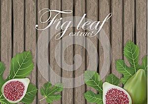 Fig leaves on wooden cutting board. Figs leaf. Banner design elements. Vector