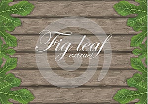 Fig leaves on wooden cutting board. Figs leaf. Banner design elements. Vector