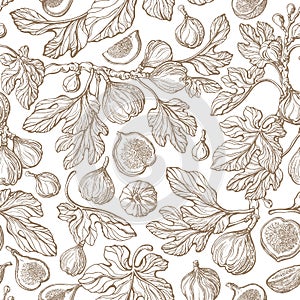 Fig seamless pattern Vector antiquity garden Print photo