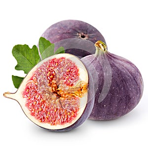 Fig