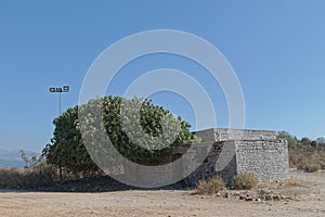 Fig tree on a hill above Sarande city in Albania