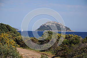 figaroli island Sardinia Italy