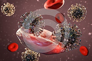 Fight against corona virus, virus killing blood cell