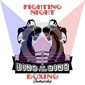 Fight cub, boxing center, boxing championship logo, banner, flyer