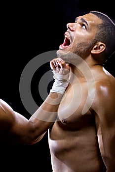 Fighter Getting Knocked Out