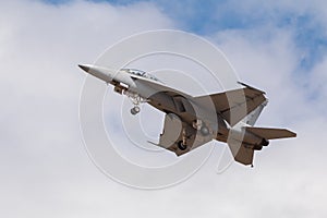 Fighter, interceptor jet flying up into the sky