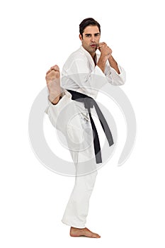 Fighter performing karate stance