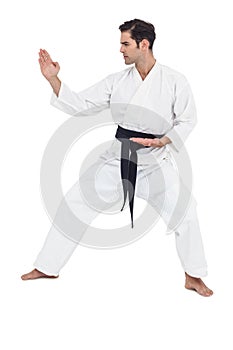 Fighter performing karate stance