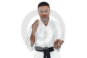 Fighter performing karate stance