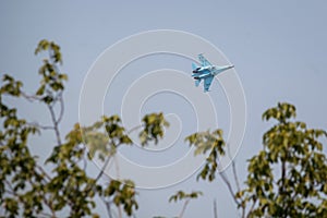 Fighter plane seen through trees