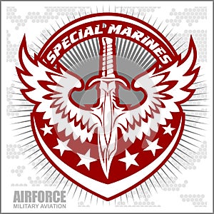 Fighter squadron airforce - military aviation