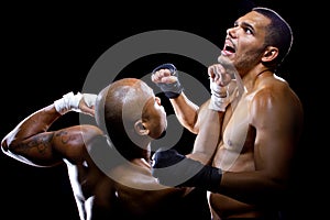 Fighters Sparring