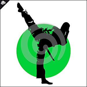 Martial art colored simbol, logo. Karate creative design emblem. photo