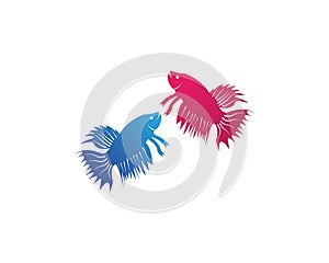 Fighting fish icon logo vector illustration