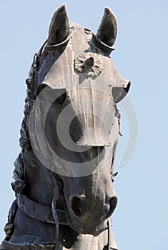 Fighting horse head-statue detail