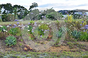 Fighting soil erosion