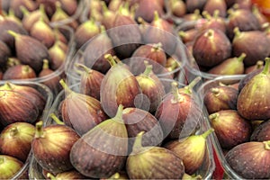 Figs