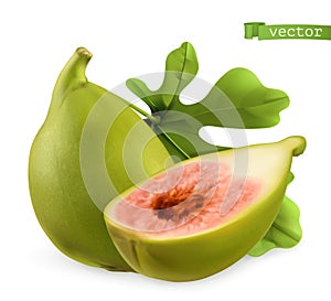 Figs, 3d realistic vector icon