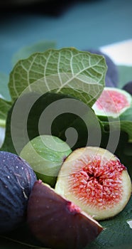 Figs