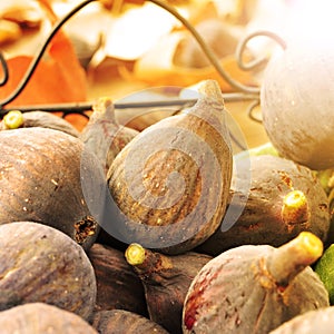 Figs in a basket lit by the noon light