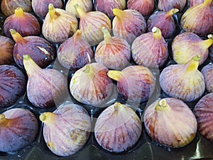 Figs fruits in grocery crate