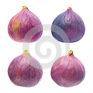 Figs isolated