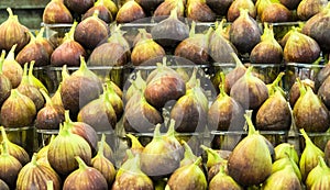 Figs on local market in Israel