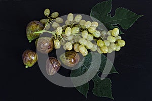 Figs with wet green leaves and yellow grapes