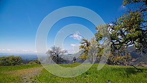 Figueroa Mountain Los Padres National Forest man view photo
