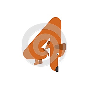 Figure 4 dog. Dachshund font four. Home pet ABC symbol.