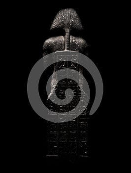 Figure allusive to the pharaoh, isolated on black background seen from behind with engravings