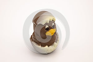 Figure of chocolate chicken hatched from an egg for Easter