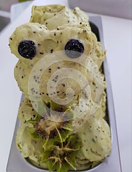 figure of a frog made with kiwi snow