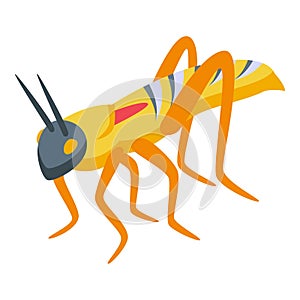 Figure gold grasshopper icon isometric vector. Nature art