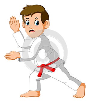 Figure in the karate fighting stance on a white background